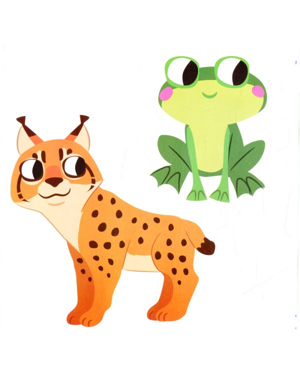 Лес: мини-энциклопедия для крохи