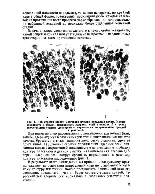 Теория биологического поля. 2-е изд., стер
