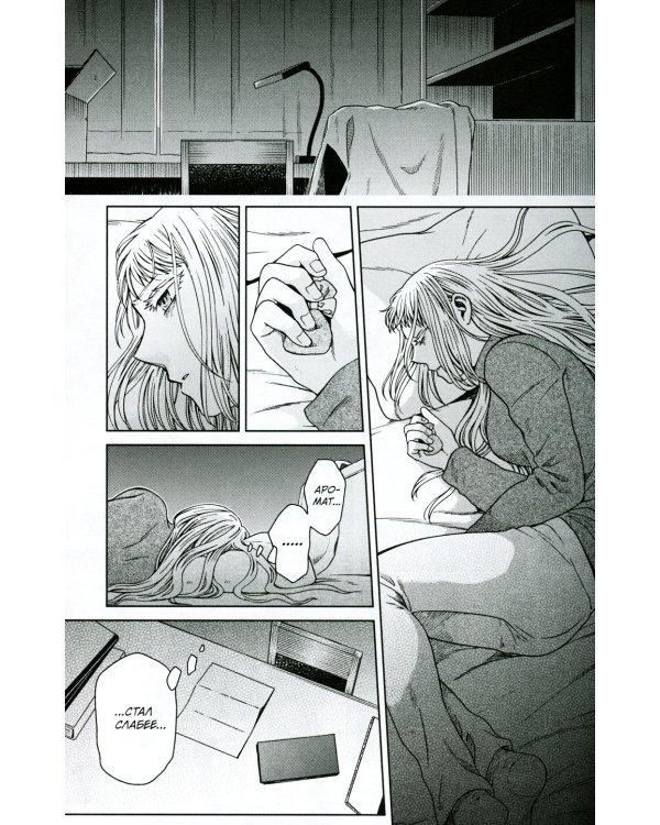 Невеста чародея. Т. 14: манга