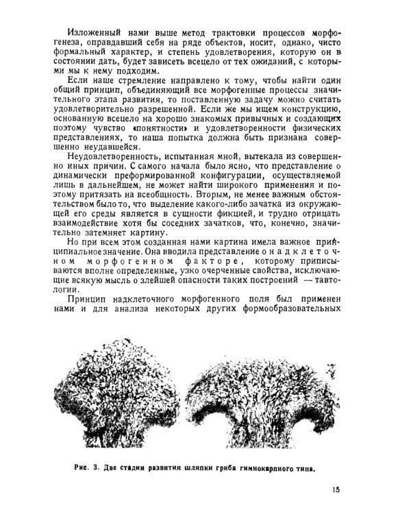 Теория биологического поля. 2-е изд., стер