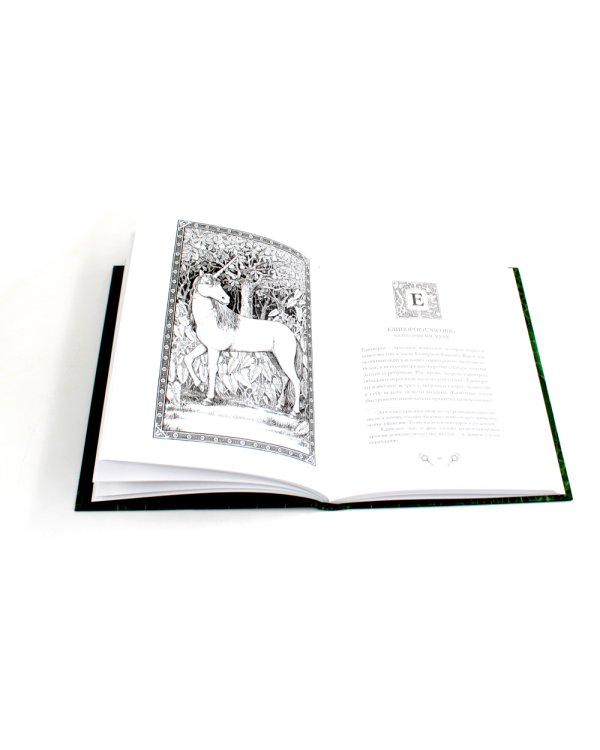 Весь Гарри Поттер + Фантастические твари; Сказки барда Бидля; Квидиш сквозь века (с цветными илл.) (комплект из 11-ти книг)