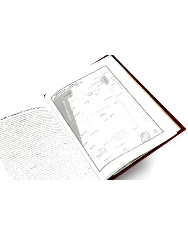 Библия. Книги Священного Писания Ветхого и Нового Завета (кожа, золот.тиснен.)