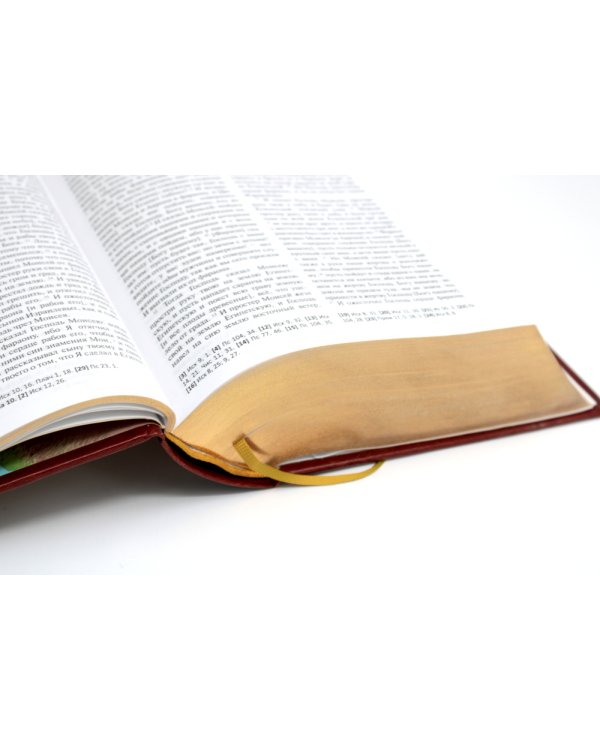 Библия. Книги Священного Писания Ветхого и Нового Завета (кожа, золот.тиснен.)