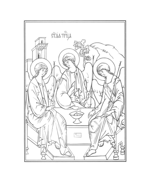 Библия. Книги Священного Писания Ветхого и Нового Завета (кожа, золот.тиснен.)