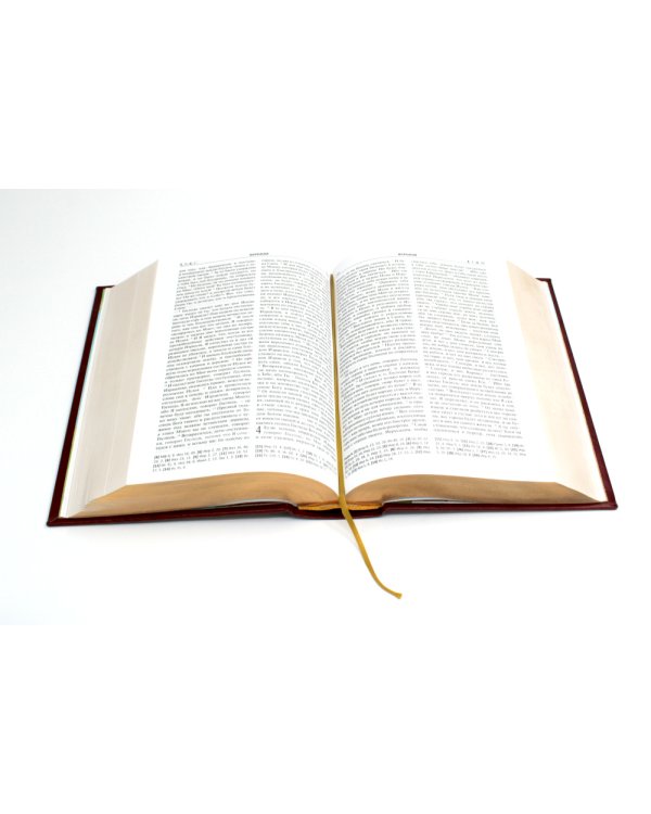 Библия. Книги Священного Писания Ветхого и Нового Завета (кожа, золот.тиснен.)