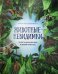 Животные невидимки. Чудеса маскировки в дикой природе