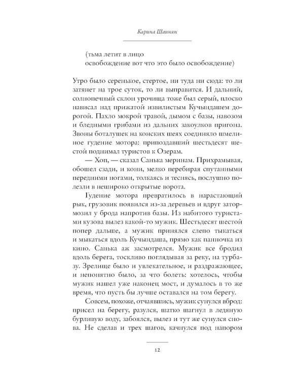 Саспыга: роман