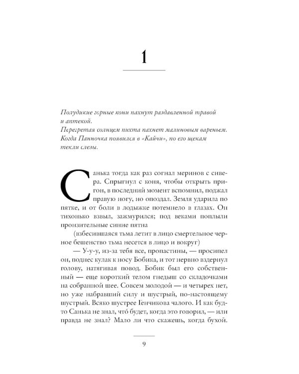 Саспыга: роман