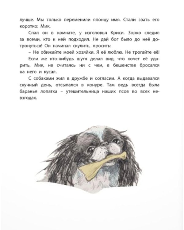 Тузик, Рыжий и гости