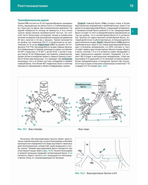 Рентгенологическое исследование грудной клетки. Практическое руководство. Атлас. 2-е изд., перераб.и доп
