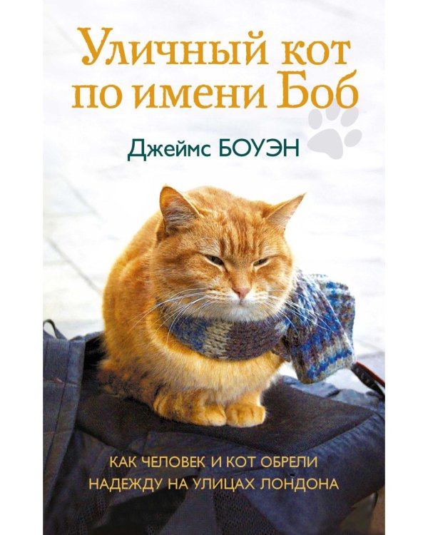 Уличный кот по имени Боб. Как человек и кот обрели надежду на улицах Лондона