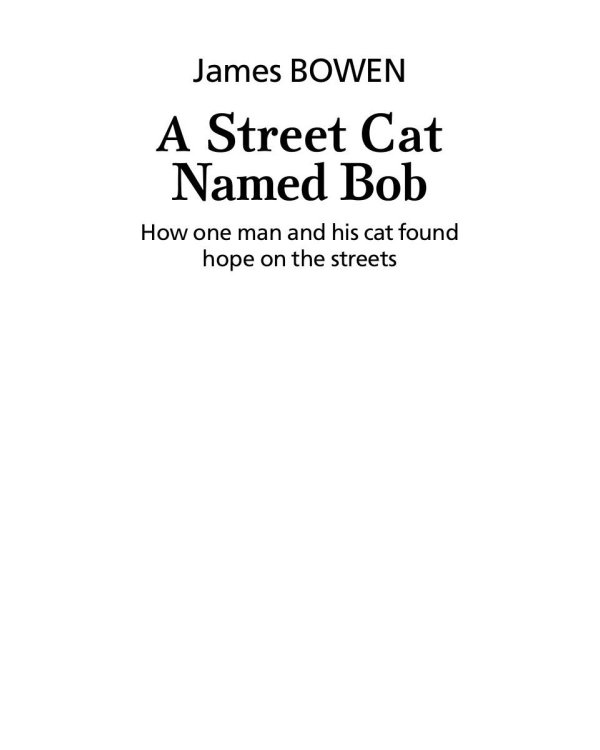 Уличный кот по имени Боб. Как человек и кот обрели надежду на улицах Лондона