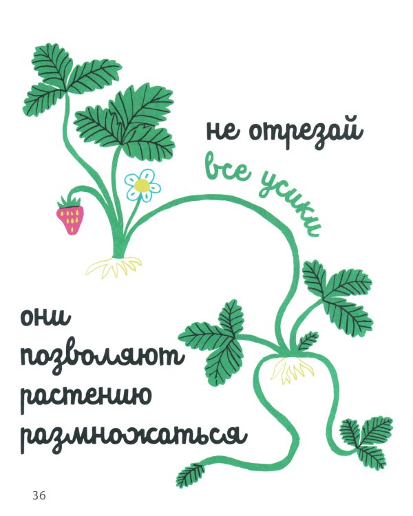 Белая книга садоводства для детей