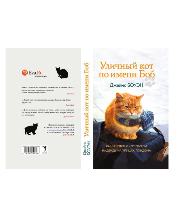Уличный кот по имени Боб. Как человек и кот обрели надежду на улицах Лондона