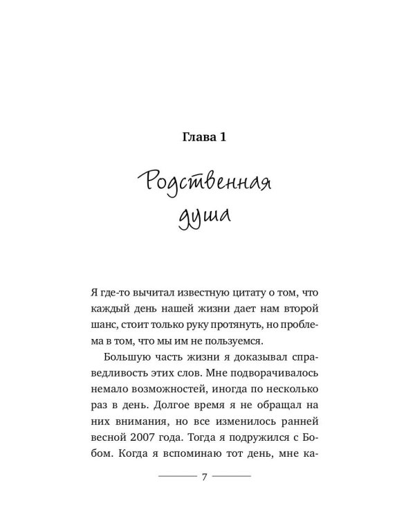 Уличный кот по имени Боб. Как человек и кот обрели надежду на улицах Лондона