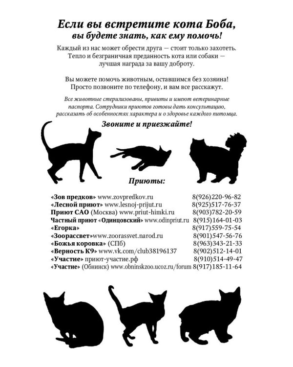 Уличный кот по имени Боб. Как человек и кот обрели надежду на улицах Лондона