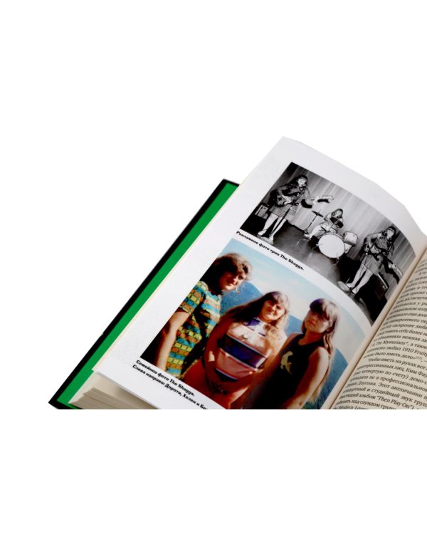 Панк-рок. Предыстория. Прогулки по дикой стороне (комплект из двух книг)