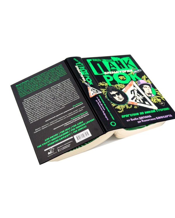 Панк-рок. Предыстория. Прогулки по дикой стороне (комплект из двух книг)