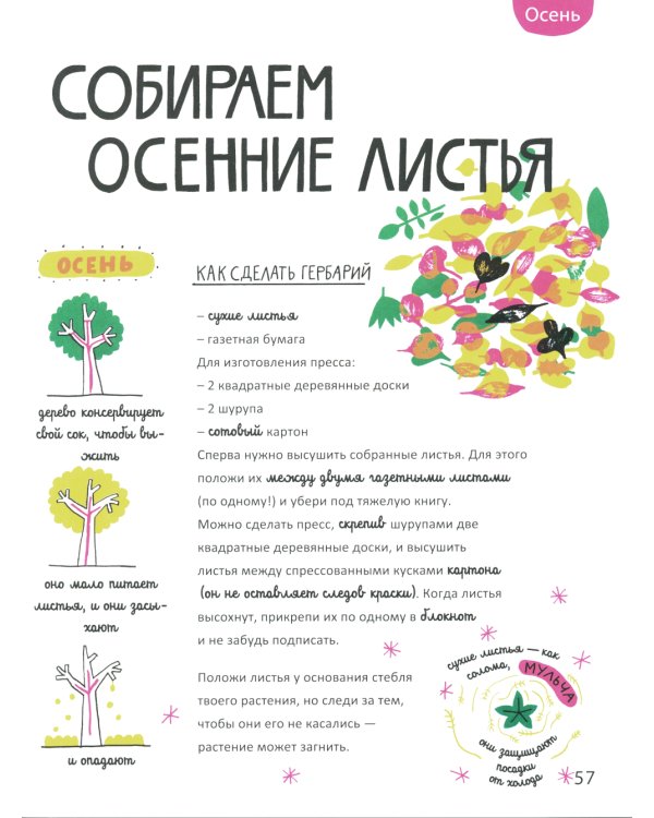 Белая книга садоводства для детей