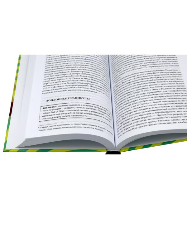 Панк-рок. Предыстория. Прогулки по дикой стороне (комплект из двух книг)