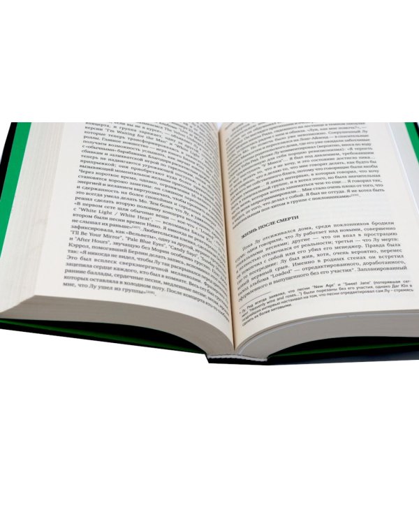 Панк-рок. Предыстория. Прогулки по дикой стороне (комплект из двух книг)