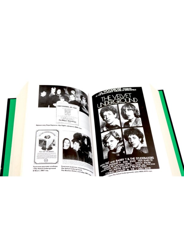 Панк-рок. Предыстория. Прогулки по дикой стороне (комплект из двух книг)