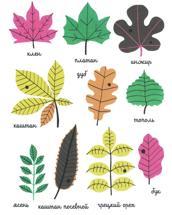 Белая книга садоводства для детей