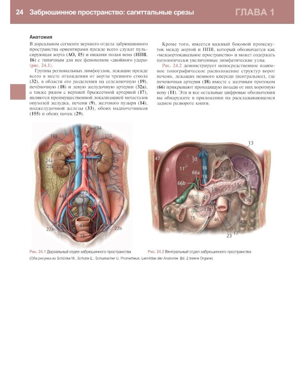 Ультразвуковая диагностика. Базовый курс. 3-е изд., перераб. и доп