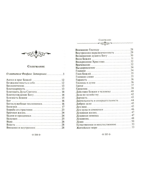 Зачем мы живем. По творениям святителя Феофана Затворника