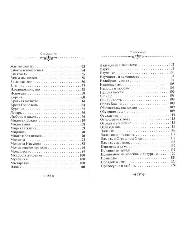 Зачем мы живем. По творениям святителя Феофана Затворника