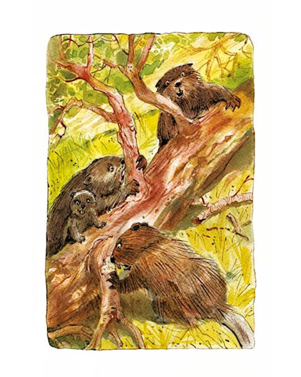 Проводник, или Пять кедровых орешков