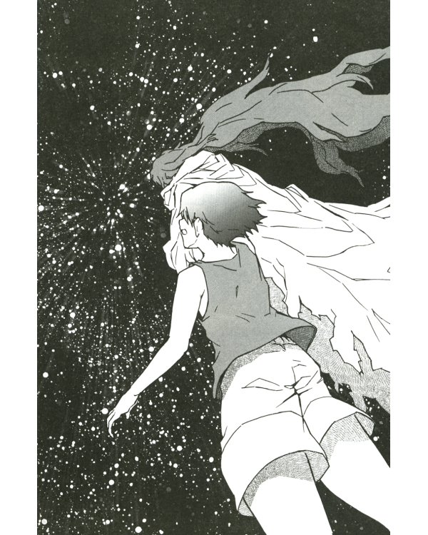 Дневник будущего. Т. 12