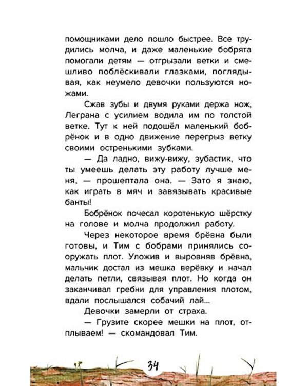 Проводник, или Пять кедровых орешков