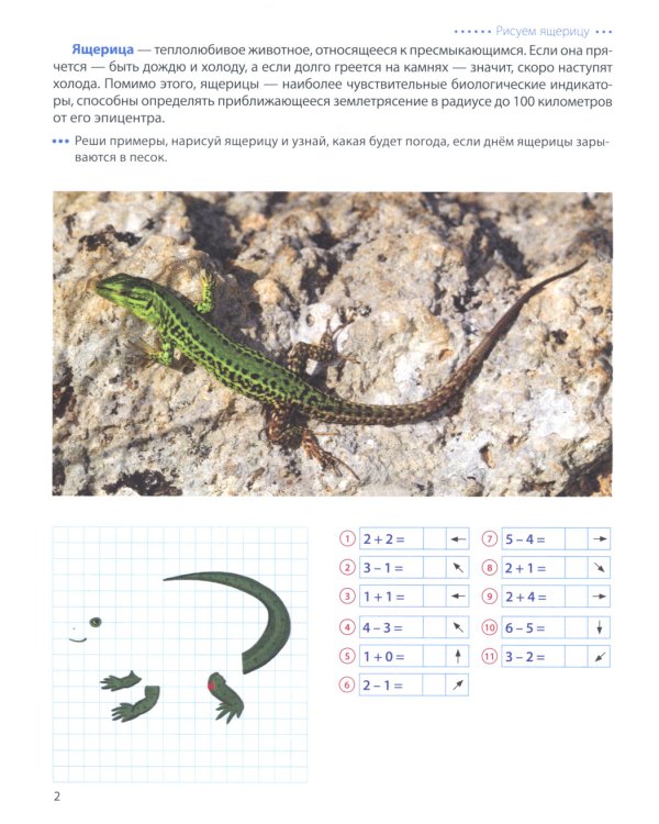 Животные - предсказатели погоды. Графические диктанты