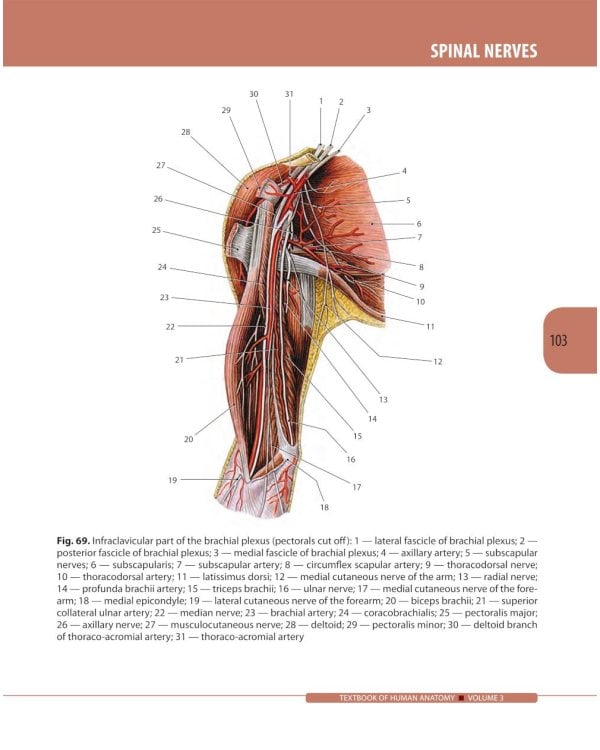 Textbook of Human Anatomy. In 3 v. V. 3: Nervous system. Esthesiology = Анатомия человека. В 3 т. Т. 3: Нервная система. Органы чувств