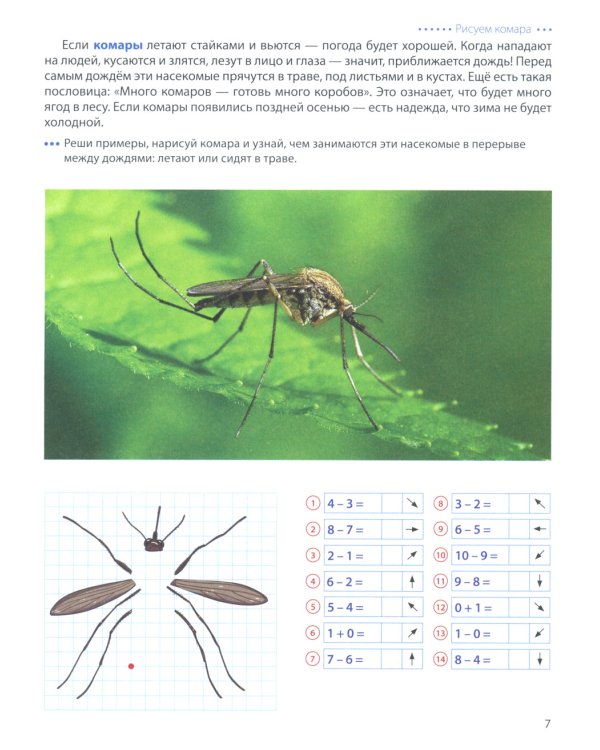 Животные - предсказатели погоды. Графические диктанты