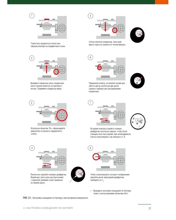 Анализ осадка мочи