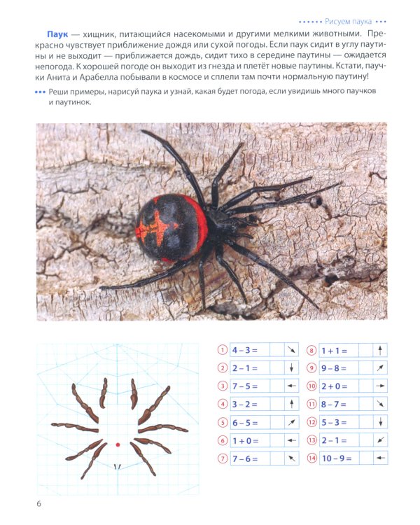 Животные - предсказатели погоды. Графические диктанты