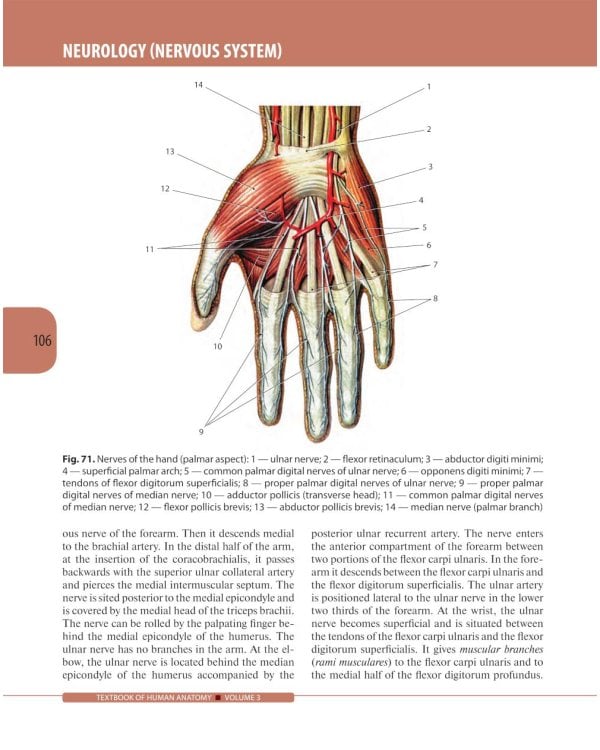 Textbook of Human Anatomy. In 3 v. V. 3: Nervous system. Esthesiology = Анатомия человека. В 3 т. Т. 3: Нервная система. Органы чувств