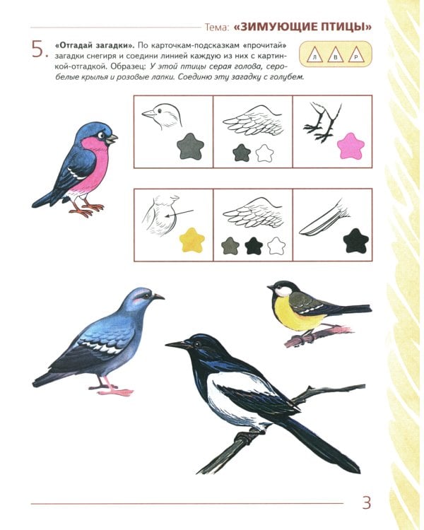 Развиваем связную речь у детей 4-5 лет с ОНР. Альбом 2. Мир животных. 2-е изд., испр