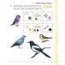 Развиваем связную речь у детей 4-5 лет с ОНР. Альбом 2. Мир животных. 2-е изд., испр