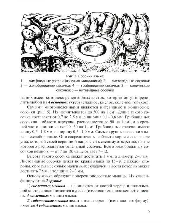 Анатомия внутренних органов в цифрах: Учебное пособие