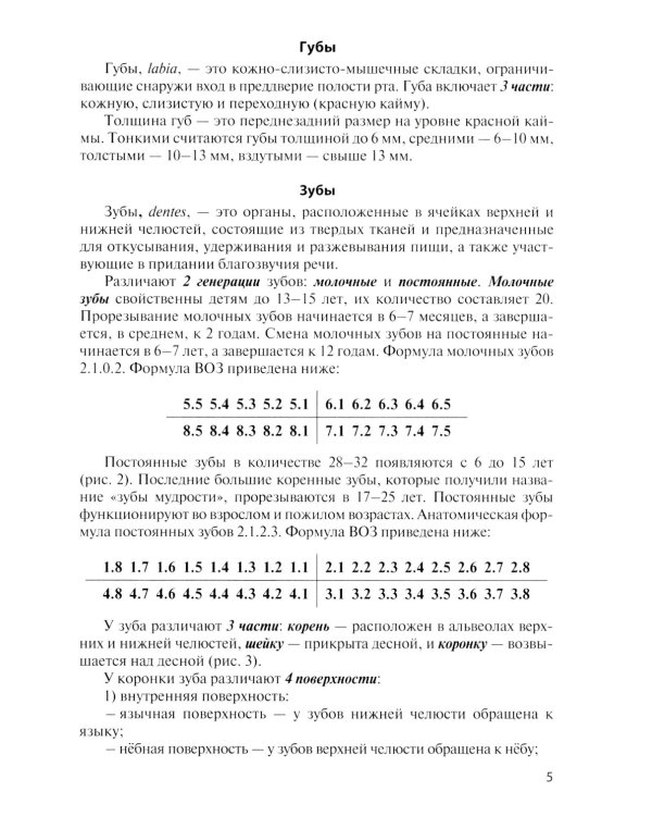 Анатомия внутренних органов в цифрах: Учебное пособие