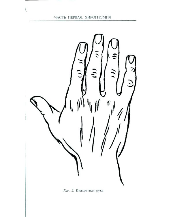 Хиромантия - искусство чтения судьбы. Толкование знаков на ладони от древности до наших дней
