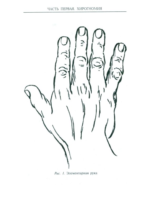 Хиромантия - искусство чтения судьбы. Толкование знаков на ладони от древности до наших дней