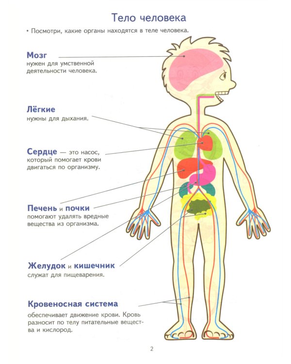 Академия солнечных зайчиков. Система развития ребенка 6-7 лет (комплект: 2 методички и 8 тетрадей)