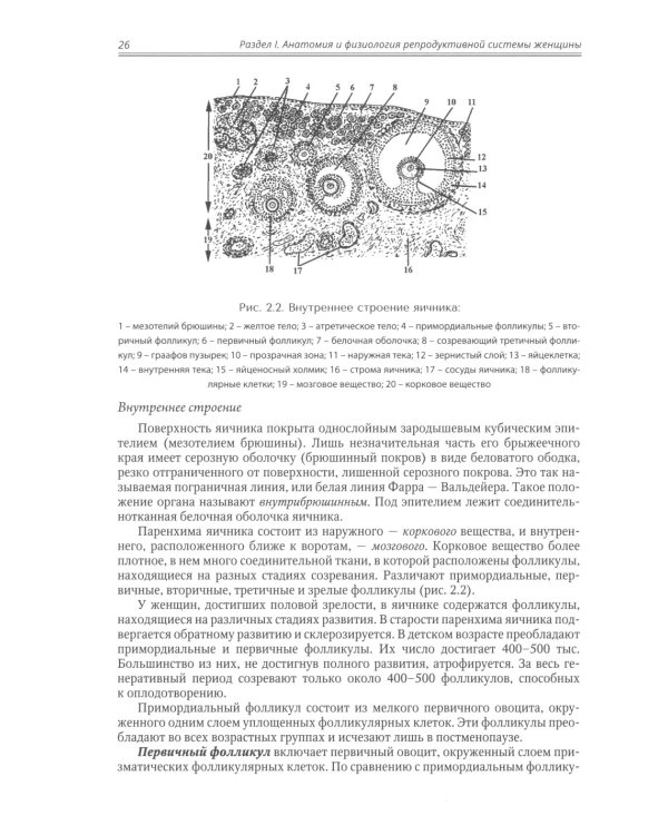 Акушерство: Учебник