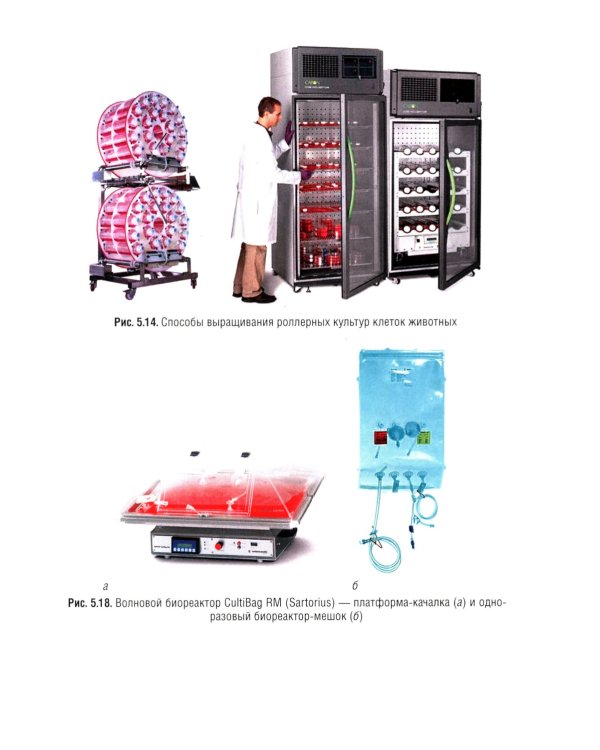 Биотехнология: Учебник