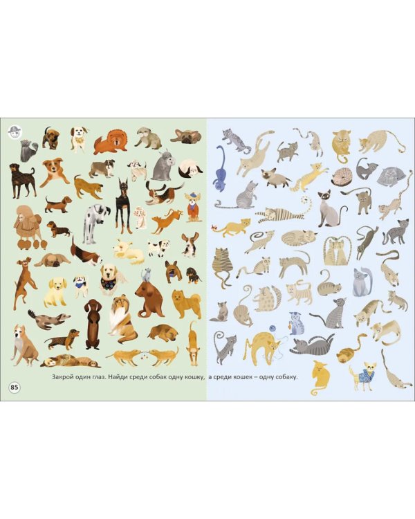 Тренируем зрение со стереокартинками (80 стереокартинок)