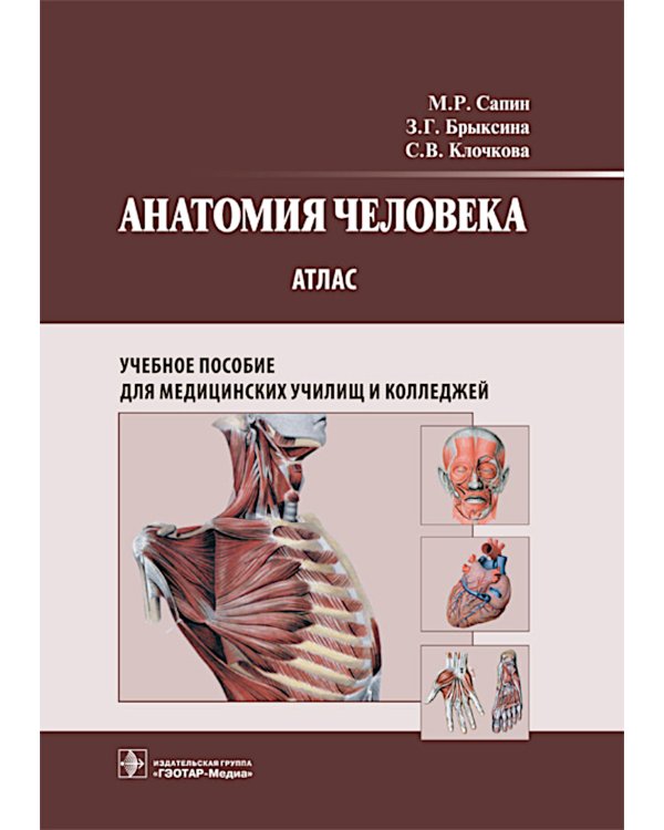 Анатомия человека: атлас: Учебное пособие